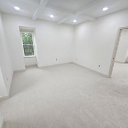 Dalton Paradise Carpet