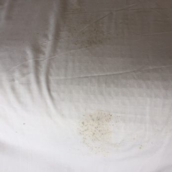 Seascape Beach Resort - Mold on sheets - Venues & Event Spaces Near Me - Aptos, California Seascape Beach Resort - Mold on sheets - Venues & Event Spaces Near Me - Aptos, California