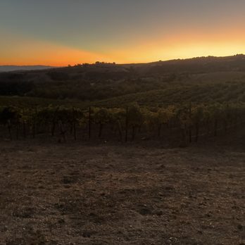 Ecluse Wines - Wineries Near Me - Paso Robles, California