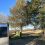 Photo of Sanders Tree Service & Excavation