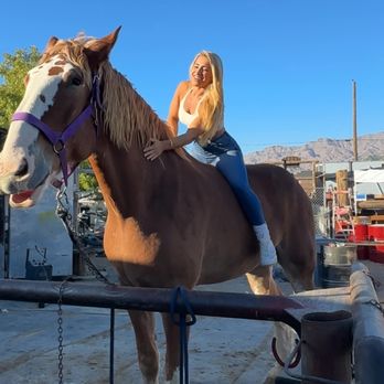 BHP Events - Meed and connect with horses! - Horseback Riding Near Me - Las Vegas, Nevada BHP Events - Meed and connect with horses! - Horseback Riding Near Me - Las Vegas, Nevada