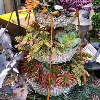 Roxanne's Dried Flowers - Gift Shops Near Me - Pittsburgh, Pennsylvania Roxanne's Dried Flowers - Gift Shops Near Me - Pittsburgh, Pennsylvania