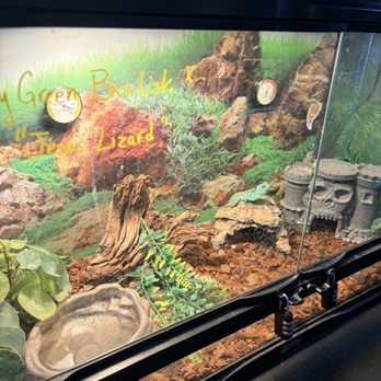 Bay Area Exotic Pets - Pet Stores Near Me - La Porte, Texas Bay Area Exotic Pets - Pet Stores Near Me - La Porte, Texas