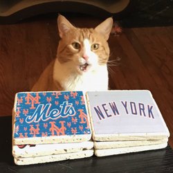 cat boarding manhattan