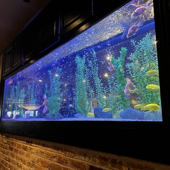 Cheddar's Scratch Kitchen - Huge fish tank - Comfort Food Near Me - Centerville, Ohio