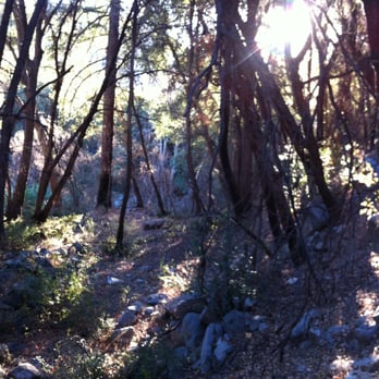 Gabrielino Trail - Hiking Near Me - Altadena, California Gabrielino Trail - Hiking Near Me - Altadena, California