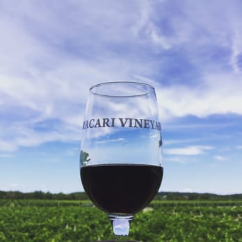 Macari Vineyards - Vino - Wineries Near Me - Mattituck, New York Macari Vineyards - Vino - Wineries Near Me - Mattituck, New York