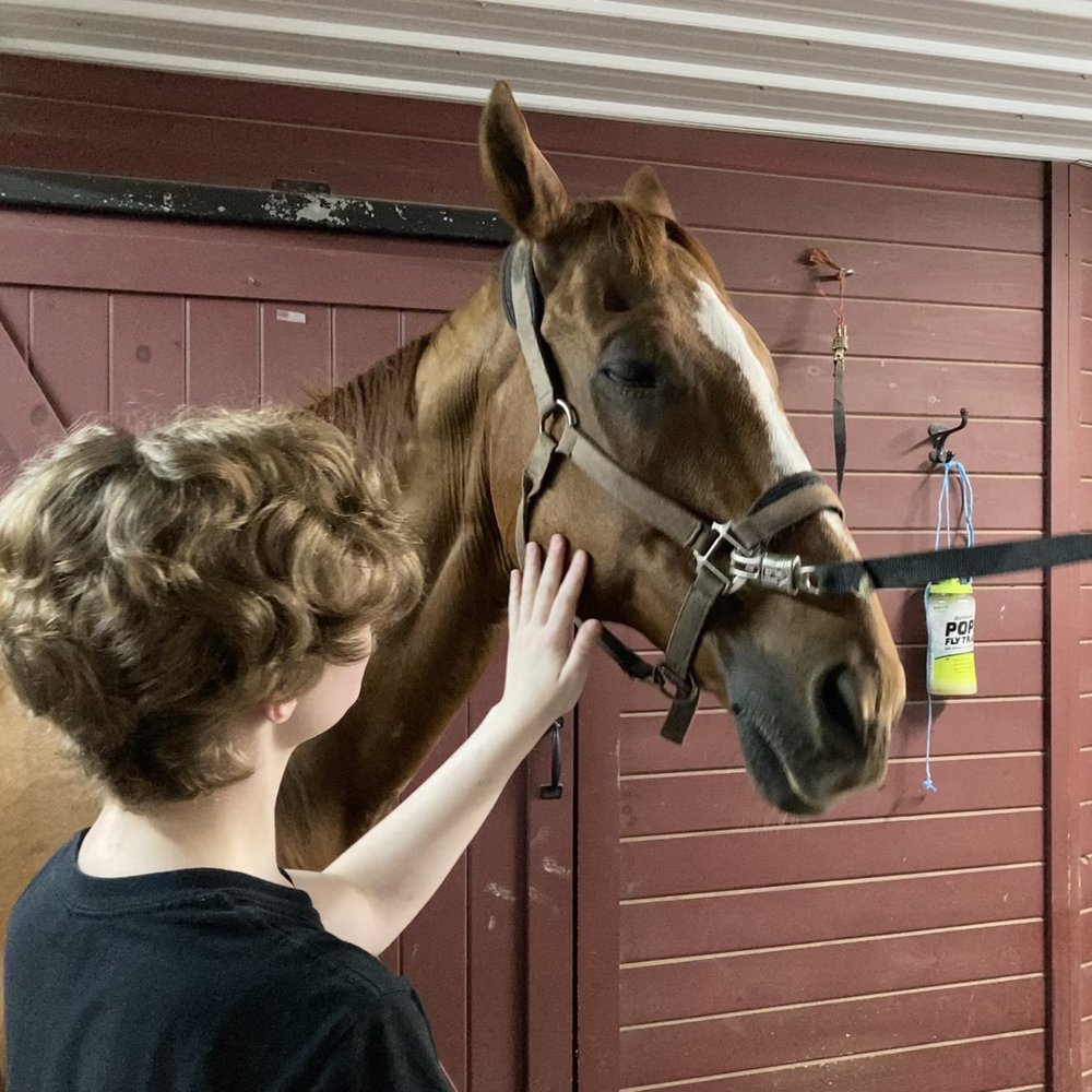 Legacy Equestrian Center - Horseback Riding Near Me - East Amherst, New York Legacy Equestrian Center - Horseback Riding Near Me - East Amherst, New York