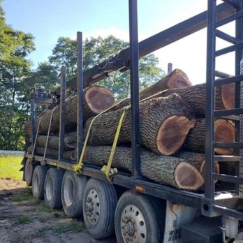 Backwoods Tree - Tree Services Near Me - Jackson, Michigan Backwoods Tree - Tree Services Near Me - Jackson, Michigan