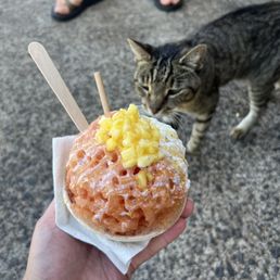 Shaved Ice