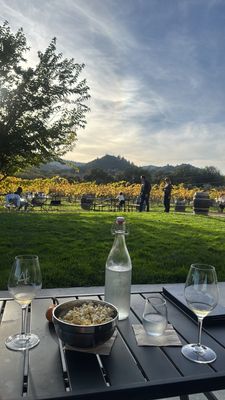 Amista Vineyards by null