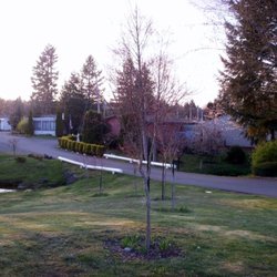 Alderbrook Estates