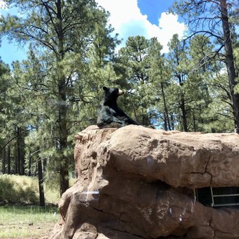 Bearizona - Bear - Zoos Near Me - Williams, Arizona Bearizona - Bear - Zoos Near Me - Williams, Arizona