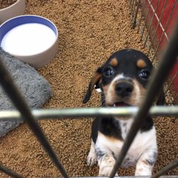 Double M Feed Garden & Pet Supply