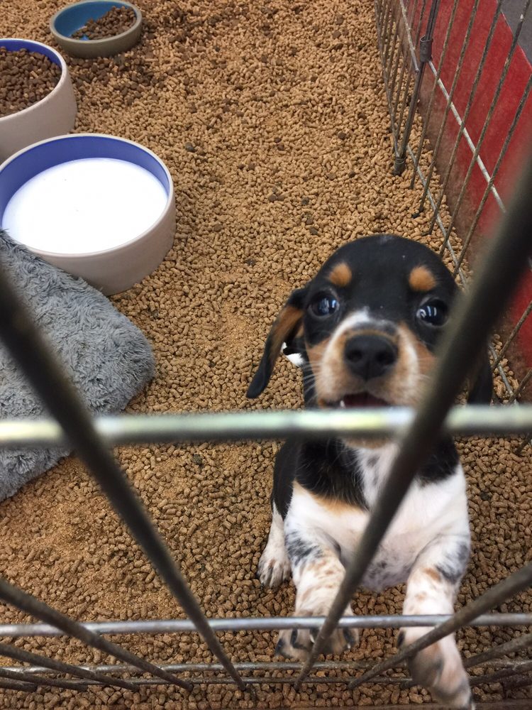 DOUBLE M FEED GARDEN & PET SUPPLY Updated October 2024 17 Photos