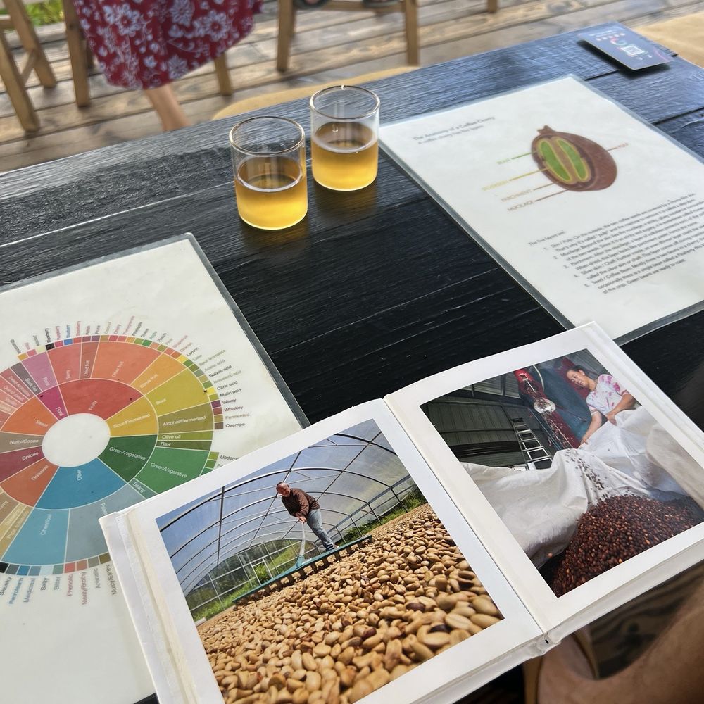 Hala Tree Coffee - Tea samples - Attraction Farms Near Me - Captain Cook, Hawaii Hala Tree Coffee - Tea samples - Attraction Farms Near Me - Captain Cook, Hawaii