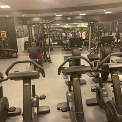 Palestra Indomita - Gym area