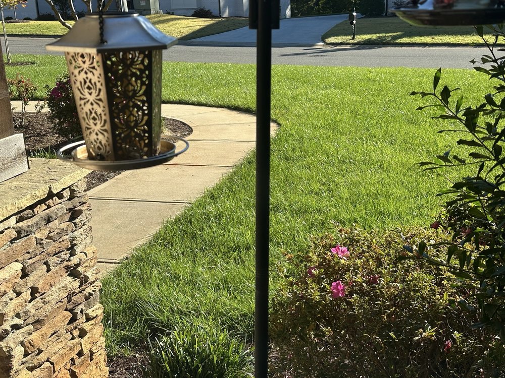SpringGreen - tree service in Charlotte, NC