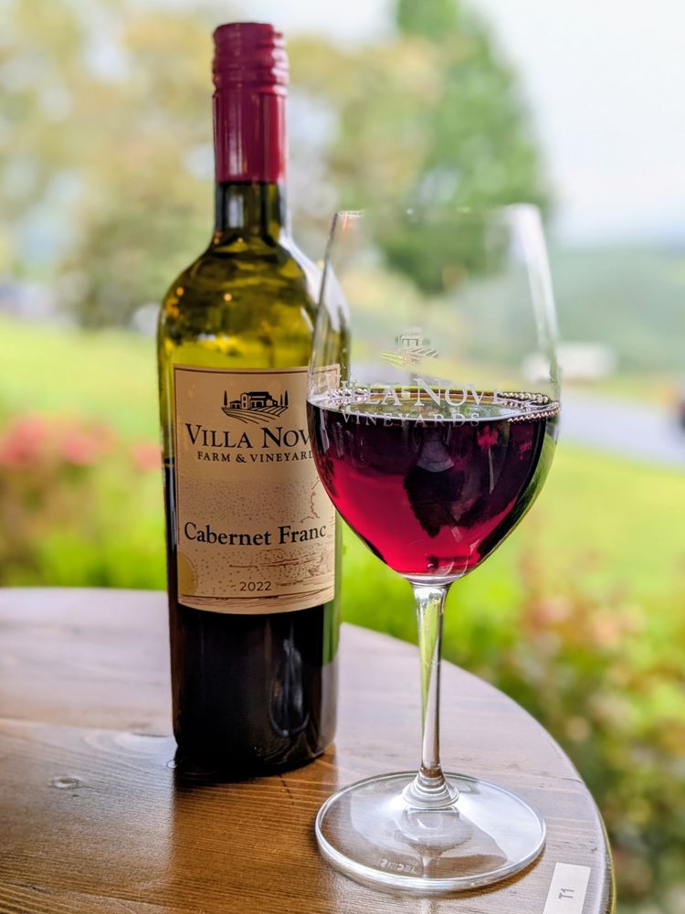 Villa Nove Vineyards Logo