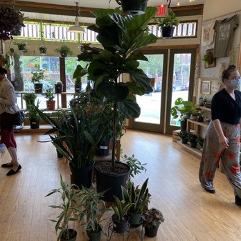 B Willow - Nurseries & Gardening Near Me - Baltimore, Maryland