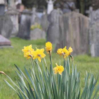 Kensal Green Cemetery - Funeral Services & Cemeteries Near Me - London, XGL Kensal Green Cemetery - Funeral Services & Cemeteries Near Me - London, XGL