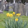 Photo of Kensal Green Cemetery