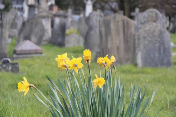 Kensal Green Cemetery by null