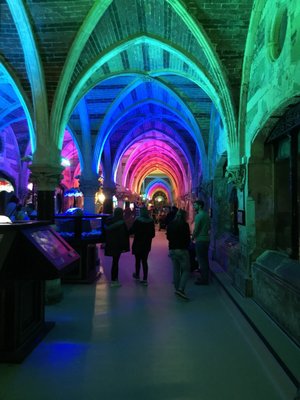 SEA LIFE Brighton by null