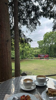 Hollyhock Vegetarian Fairtrade Cafe by null