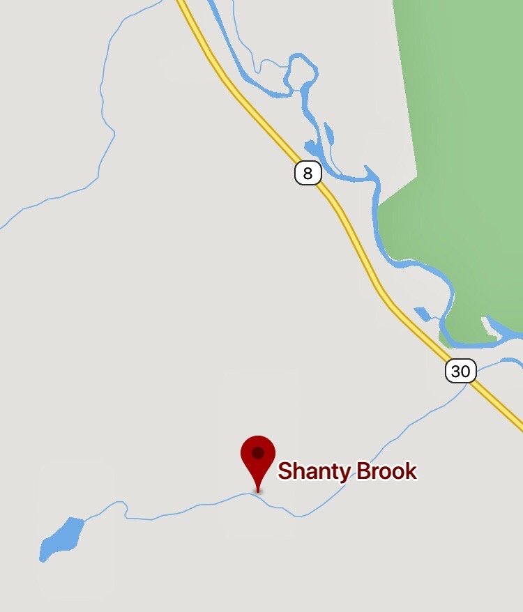Shanty Brook Logo