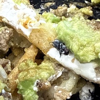 La Bufadora Baja Grill Irwindale - Extra protein? ..... found a dead fly in my asada nacho fries .... - Mexican Near Me - Irwindale, California