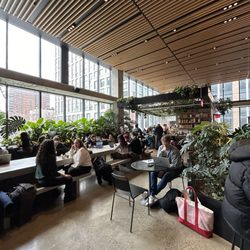 Interior View of Cafe