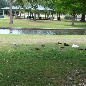 Lafreniere Park - Parks Near Me - Metairie, Louisiana