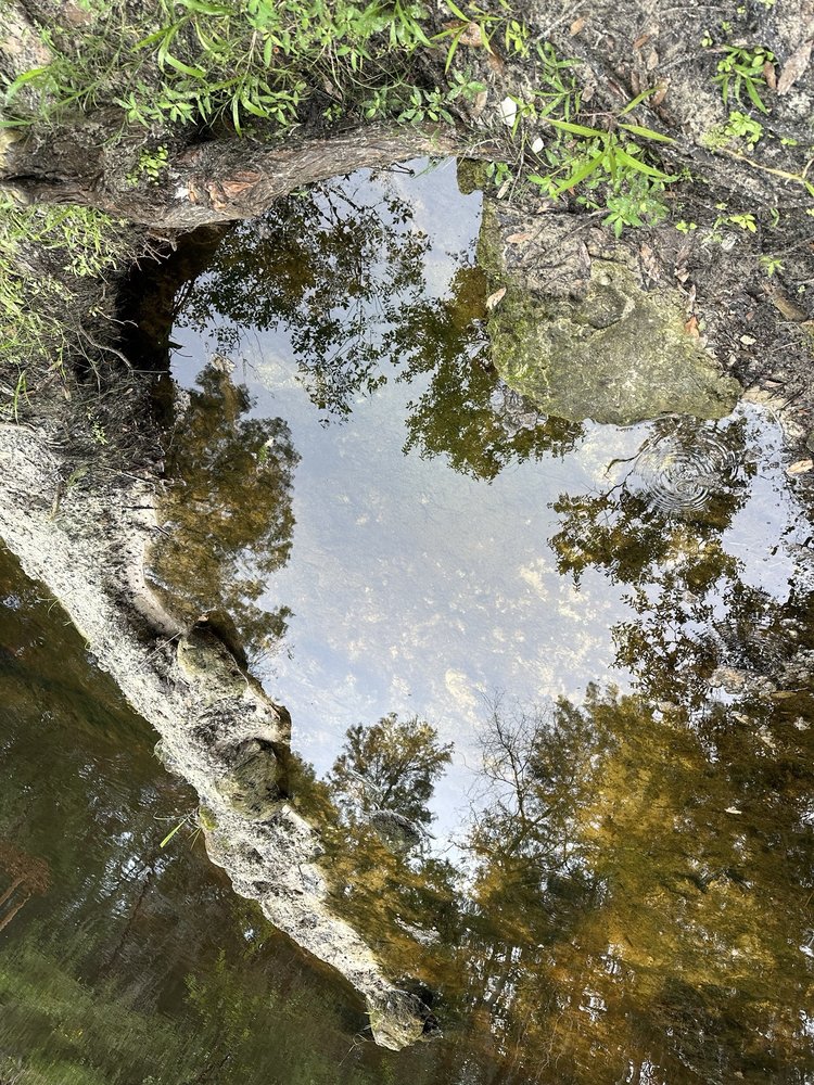 Peterson Park Image