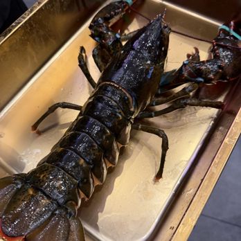 Sum Yee Kae - they show us the lobster before cooking - Dim Sum Near Me - Bellevue, Washington Sum Yee Kae - they show us the lobster before cooking - Dim Sum Near Me - Bellevue, Washington