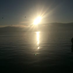 Rumeli Kavak Spor Kulübü Tesisleri - Bogaz manzarasinin yerini hicbirsey tutmaz