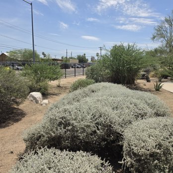Sonoran Scapes Landscaping - Desert‑smart clean‑up and trimming by Sonoran Scapes Landscaping Inc -- native shrubs shaped and debris cleared for sustainable curb appeal - Landscaping Near Me - Tucson, Arizona Sonoran Scapes Landscaping - Desert‑smart clean‑up and trimming by Sonoran Scapes Landscaping Inc -- native shrubs shaped and debris cleared for sustainable curb appeal - Landscaping Near Me - Tucson, Arizona
