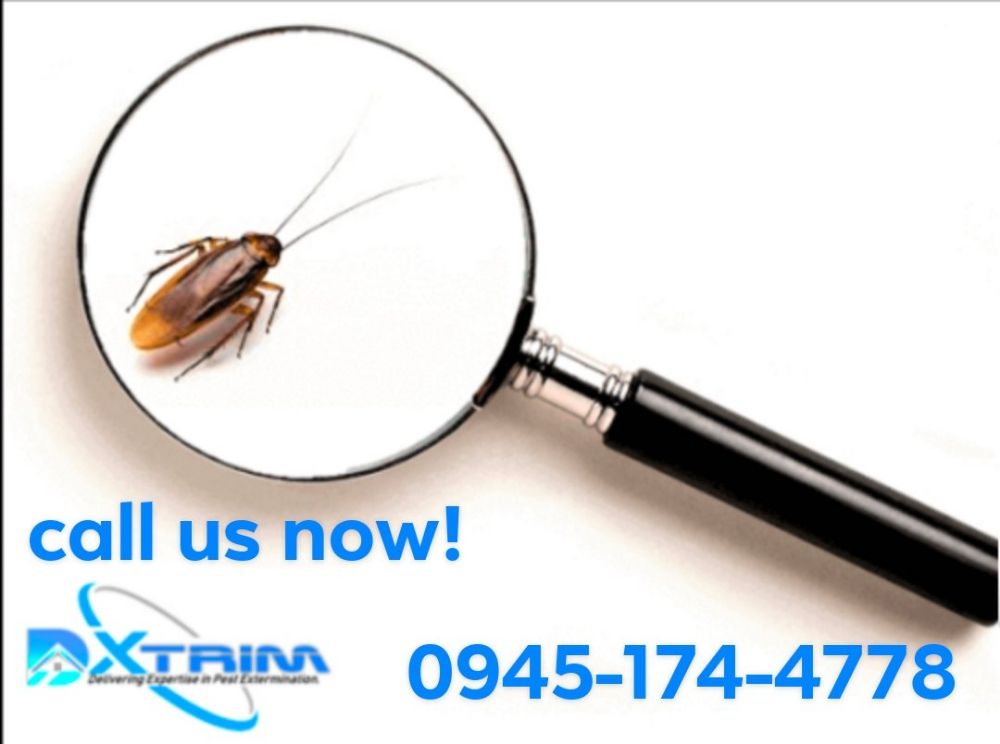 DXTRIM PEST CONTROL SERVICE 29 Photos General Romulo Ave, Quezon