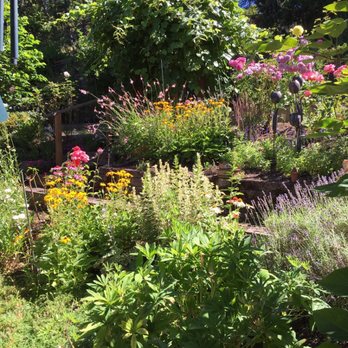 Turning Leaf Landscape Maintenance - a variety of flowers - Landscaping Near Me - Eugene, Oregon