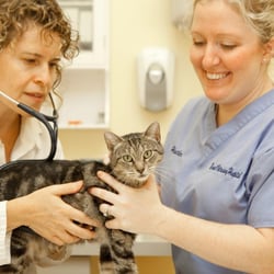 Norwell Veterinary Hospital