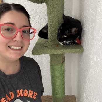 Coastal Cat Cafe - Cats - Pet Adoption Near Me - Pensacola, Florida Coastal Cat Cafe - Cats - Pet Adoption Near Me - Pensacola, Florida
