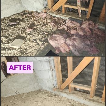 Pest Busters Pest Solutions - Crawlspace Cleanout - Pest Control Near Me - Antioch, California Pest Busters Pest Solutions - Crawlspace Cleanout - Pest Control Near Me - Antioch, California