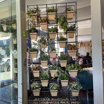 Malvern Vale Hotel - Bars Near Me - Malvern, VIC