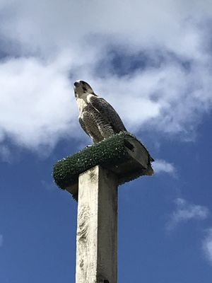 Aillwee Burren Experience by null