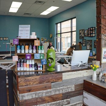 Just For Paws - Grooming supplies and grooming area - Pet Groomers Near Me - Campton Hills, Illinois