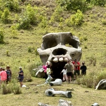 Kualoa Ranch - Tours Near Me - Kaneohe, Hawaii
