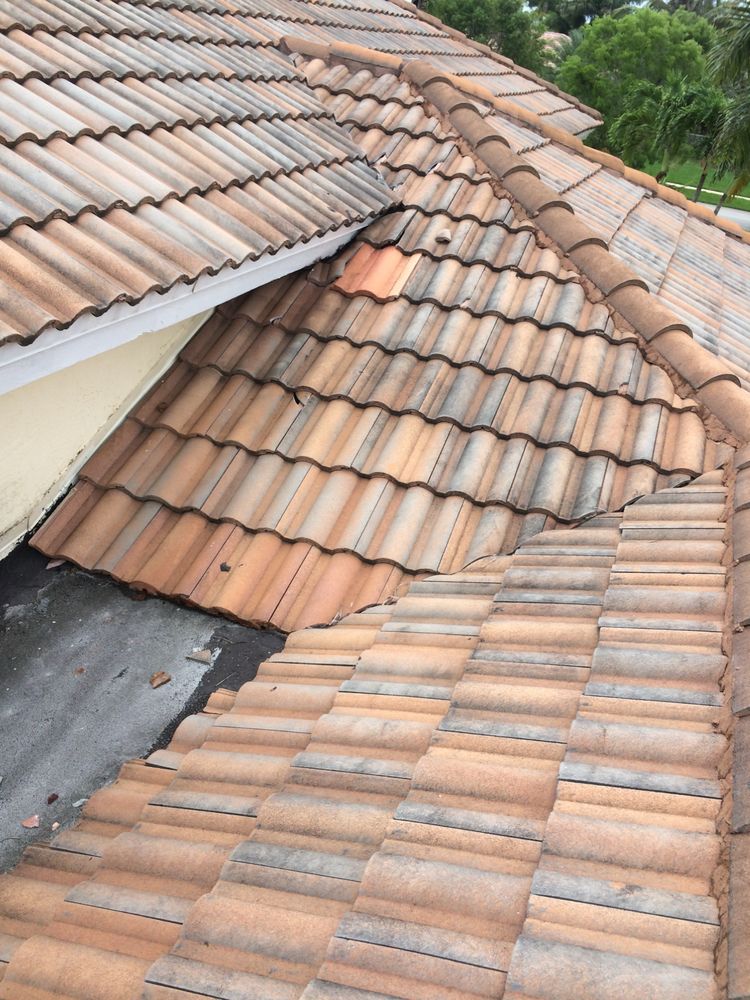 Slide of El Mago's Roofing