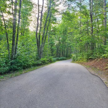 Boot Lake Recreation Area - Road through campground - Lakes Near Me - Doty, Wisconsin