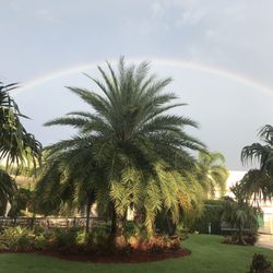 Melbourne Square - The rainbow outside the main entrance after the storm. This is why we went here to wait for the rain to pass!