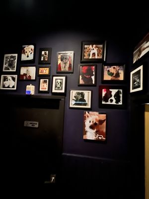 Paul Bar/Food by null
